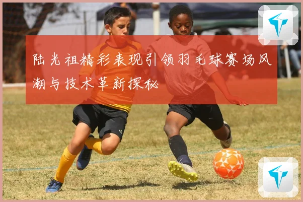 陆光祖精彩表现引领羽毛球赛场风潮与技术革新探秘
