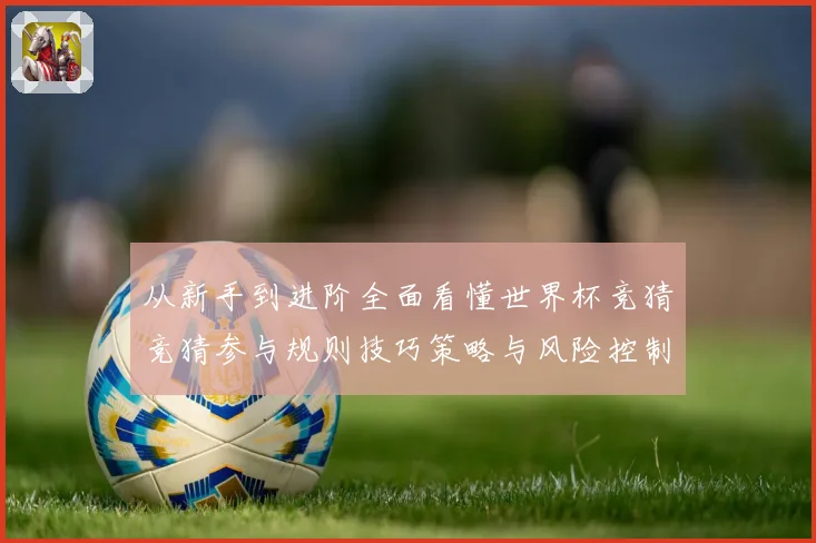 从新手到进阶全面看懂世界杯竞猜竞猜参与规则技巧策略与风险控制数据研判