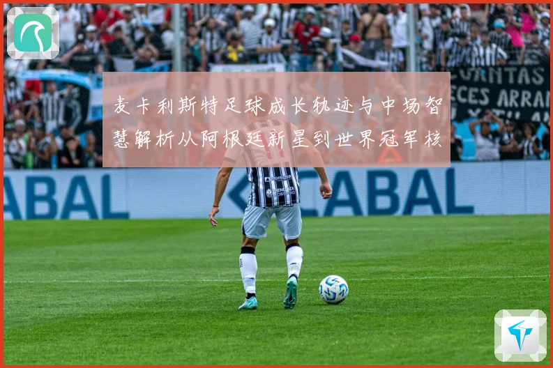 麦卡利斯特足球成长轨迹与中场智慧解析从阿根廷新星到世界冠军核心