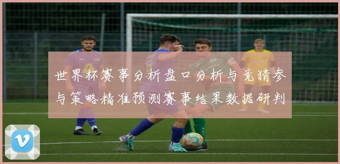 世界杯赛事分析盘口分析与竞猜参与策略精准预测赛事结果数据研判