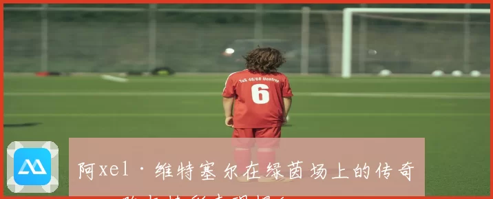 阿xel·维特塞尔在绿茵场上的传奇之路与精彩表现揭秘