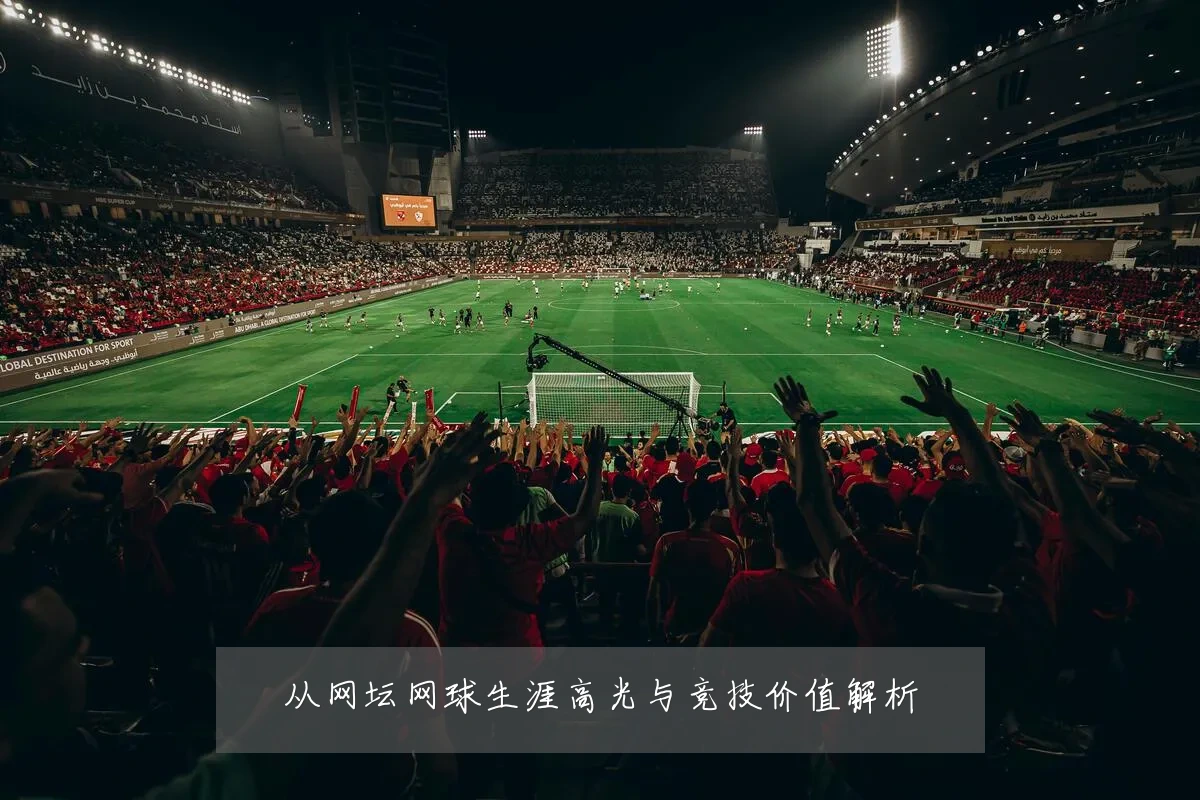 从网坛网球生涯高光与竞技价值解析
