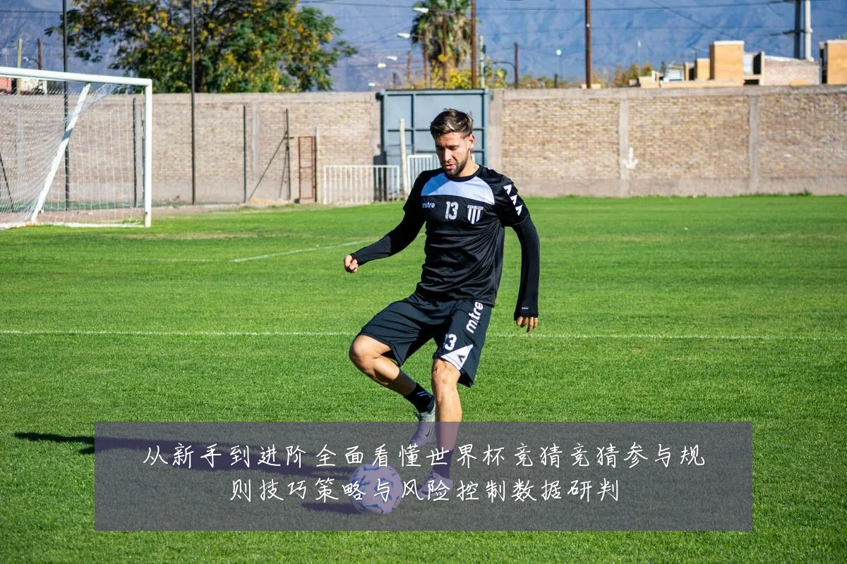从新手到进阶全面看懂世界杯竞猜竞猜参与规则技巧策略与风险控制数据研判